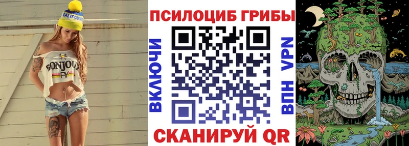 Псилоцибиновые грибы мицелий  купить наркоту  KRAKEN ТОР  Злынка 